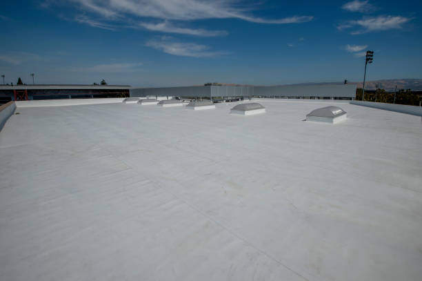 Best Roof Replacement  in Mankato, MN